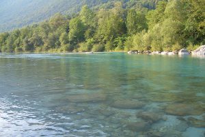 viaggi-pesca-slovenia